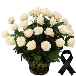 Фото товара 36 білих троянд у кошику в Коломиї