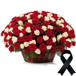 Фото товара 100 червоно-білих троянд у кошику в Коломиї