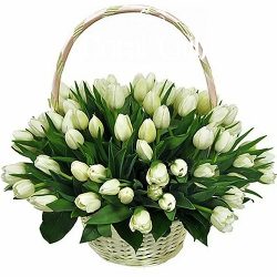 Фото товара "Цукрова вата" 51 білий тюльпан у кошику в Коломиї