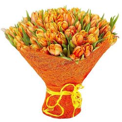Фото товара 101 маковий тюльпан в Коломиї