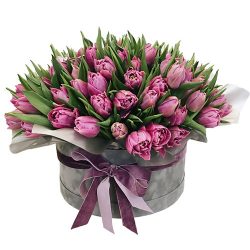 Фото товара 101 пурпурний тюльпан у коробці в Коломиї