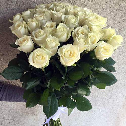 цветы и подарки к новому году в категории Троянди | «Коломия Роза»