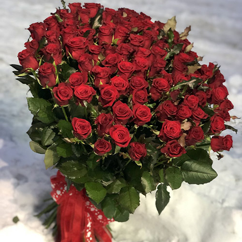 квіти та подарунки на 8 Березня в категорії 101 Троянда | «Коломия Роза»