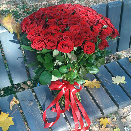 квіти та подарунки на 8 Березня в категорії 51 Троянда | «Коломия Роза»