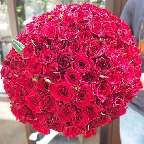 Букет червоних троянд 101 квітка фото