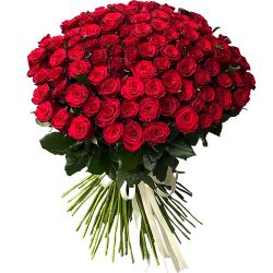 Фото товара 101 троянда червона в Коломиї