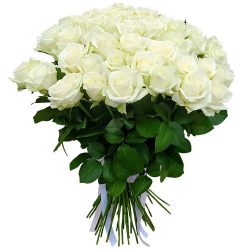 Фото товара 51 троянда біла в Коломиї